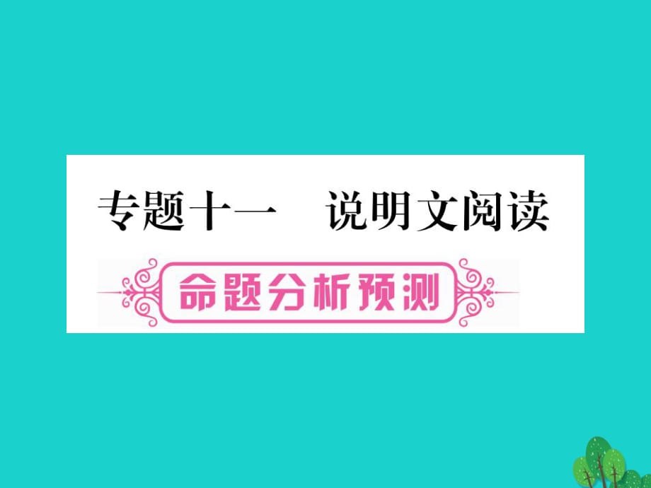 中考語文總復(fù)習(xí) 專題11 說明文閱讀課件1_第1頁