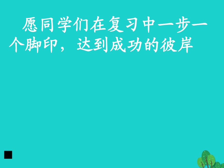 九年级语文复习 语音与汉字 成语的运用课件_第1页