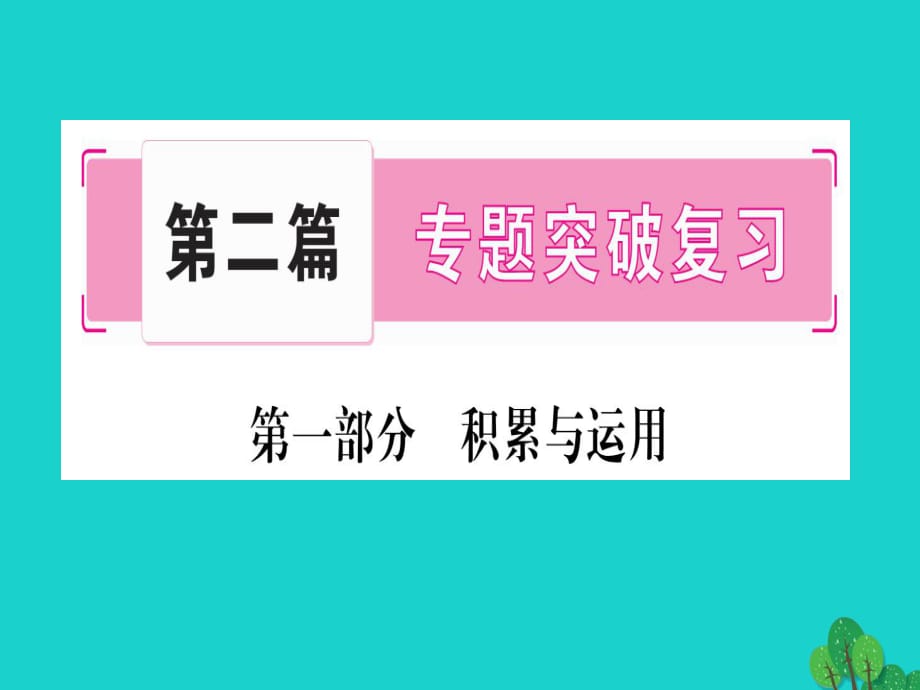 中考語(yǔ)文 專題復(fù)習(xí)精講 專題一 字音、字形課件 語(yǔ)文版_第1頁(yè)