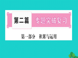 中考語文 專題復(fù)習(xí)精講 專題一 字音、字形課件 語文版