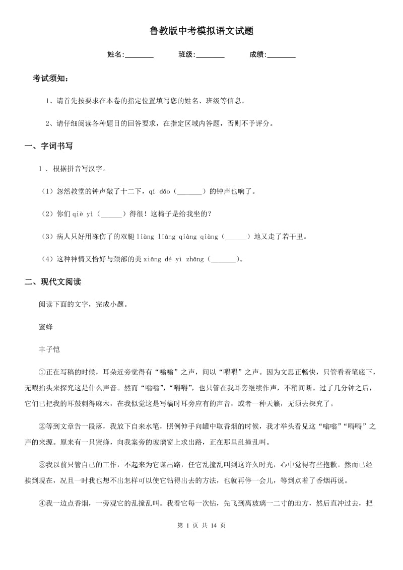 鲁教版中考模拟语文试题(练习)_第1页