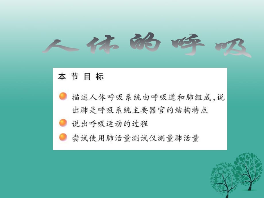 中考生物試題研究 人體的呼吸課件_第1頁