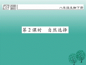 八年級生物下冊 第七單元 第三章 第三節(jié) 生物進(jìn)化的原因（第2課時(shí) 自然選擇）課件 （新版）新人教版