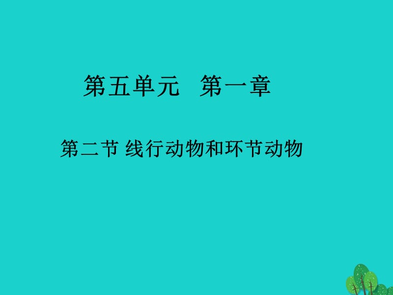 八年级生物上册 第五单元 第二节 线形动物和环节动物课件 （新版）新人教版_第1页