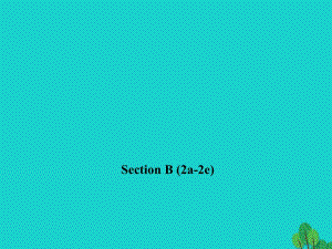 九年級(jí)英語全冊(cè) Unit 1 How can we become good learners Section B（2a-2e）習(xí)題課件 （新版）人教新目標(biāo)版