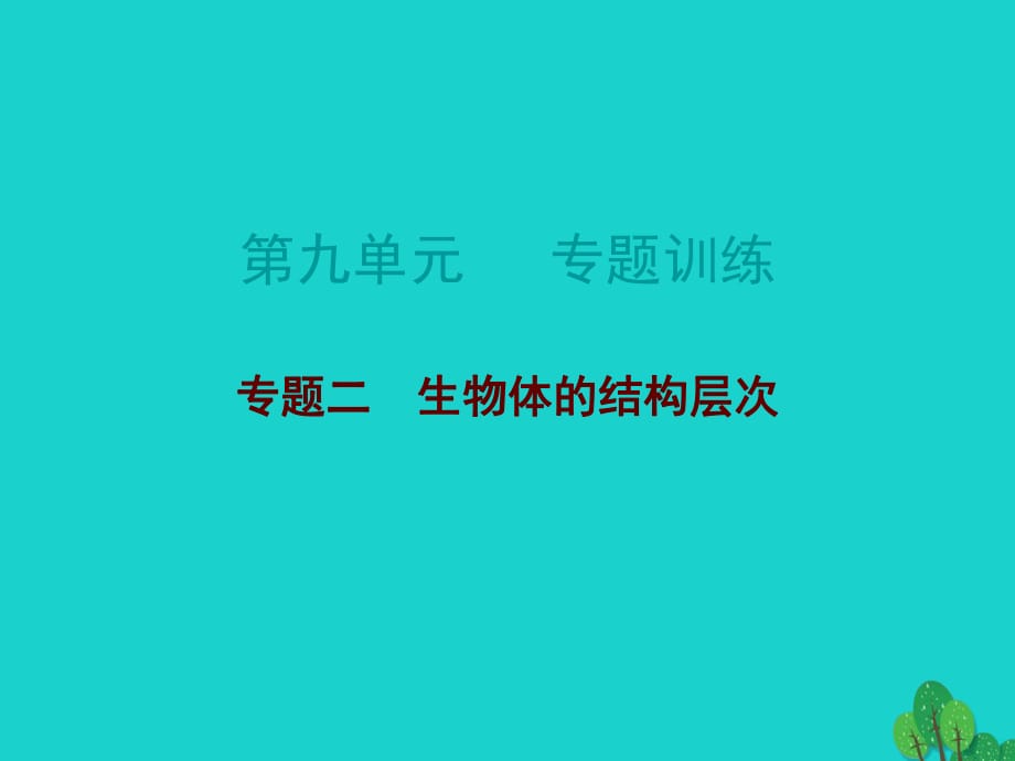 中考生物總復習 第九單元 專題訓練二 生物體的結構層次課件_第1頁