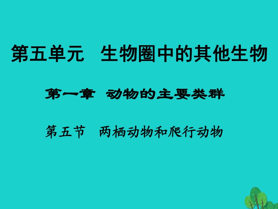 八年级生物上册 5_1_5 两栖动物和爬行动物课件 （新版）新人教版_第1页