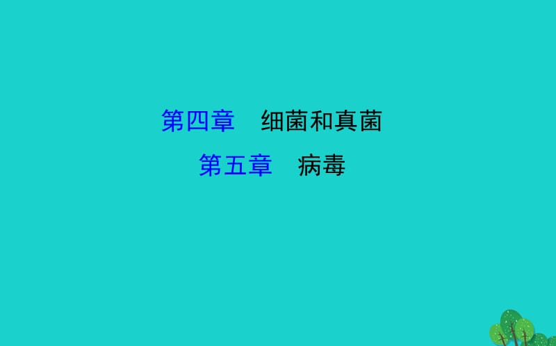 八年级生物上学期期末复习课 探究导学课型 第五单元 第4-5章课件 （新版）新人教版_第1页