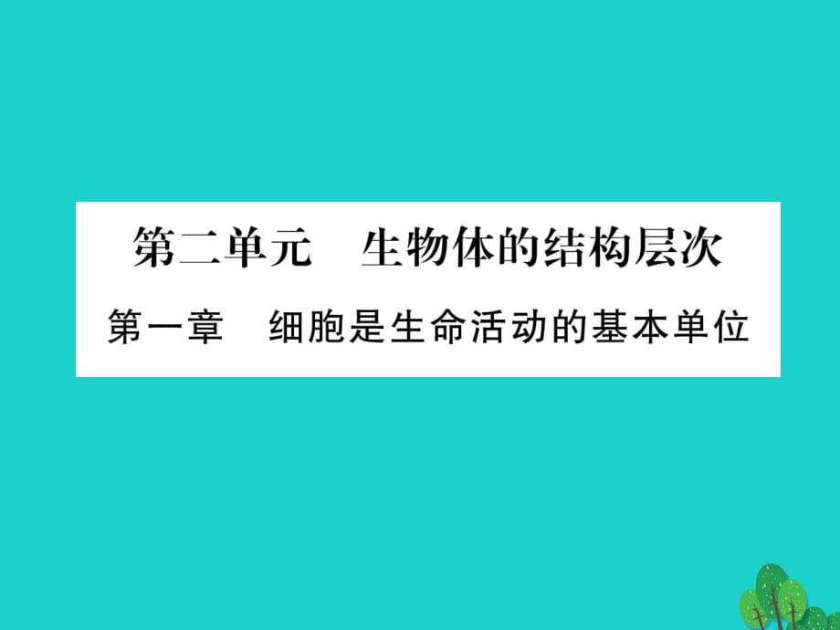 中考生物總復習 第2單元 生物體的結(jié)構(gòu)層次課件 新人教版_第1頁