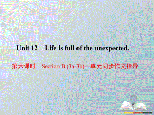 九年級(jí)英語全冊(cè) Unit 12 Life is full of the unexpected（第6課時(shí)）Section B（3a-3b）同步作文指導(dǎo)課件 （新版）人教新目標(biāo)版