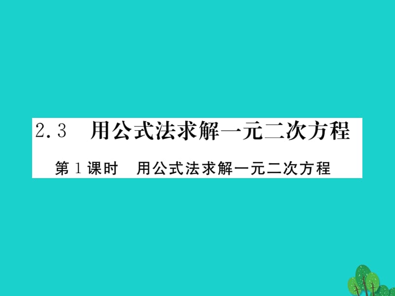 九年级数学上册 2.3 第1课时 用公式法求解一元二次方程（小册子）课件 （新版）北师大版_第1页