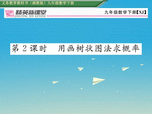 九年級數(shù)學下冊 4_2_2 用列舉法求概率 第2課時 用畫樹狀圖法求概率課件 （新版）湘教版