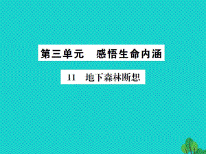 九年級語文下冊 第三單元 11《地下森林斷想》課件 （新版）新人教版 (2)