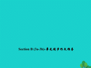 九年級英語全冊 Unit 2 I think that mooncakes are delicious Section B（3a-3b）同步作文指導(dǎo)課件 （新版）人教新目標版