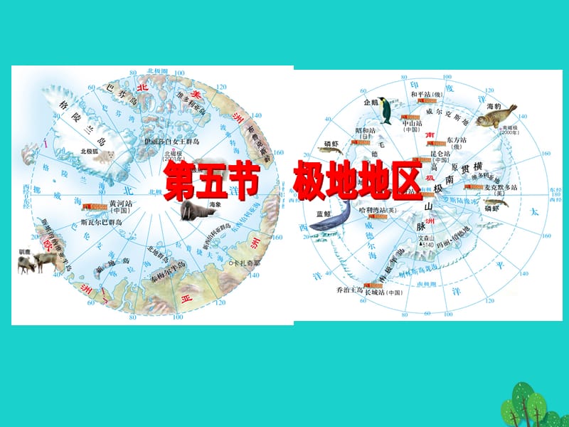 八年級地理下冊 第6章 第五節(jié) 極地地區(qū)課件 中圖版_第1頁