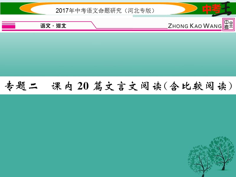 中考语文总复习 第一编 古诗文阅读梳理篇 专题二 课内20篇文言文阅读（含比较阅读）课件1_第1页