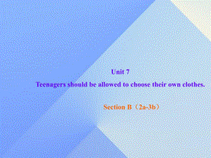 九年級(jí)英語(yǔ)全冊(cè) Unit 7 Teenagers should be allowed to choose their own clothes Section B（2a-3b）課件 （新版）人教新目標(biāo)版