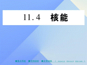 九年級物理下冊 第11章 物理學與能源技術 第4節(jié) 核能教學課件 （新版）教科版