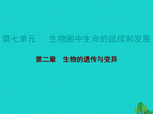 中考生物總復(fù)習(xí) 第七單元 第二章 生物的遺傳與變異課件