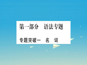 中考英語總復(fù)習(xí) 第一部分 語法專題 專題突破一 名詞課件 人教新目標(biāo)版