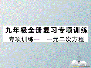 九年级数学下册 专项训练一 一元二次方程习题课件 （新版）新人教版