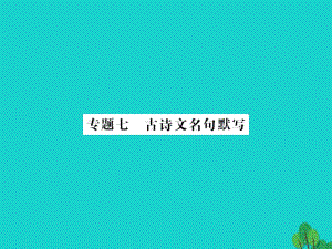 中考語(yǔ)文 第一部分 積累與應(yīng)用 專題七 古詩(shī)文名句默寫課件1