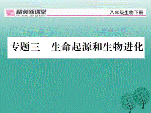 八年級生物下冊 專題三 生命起源和生物進化課件 （新版）新人教版