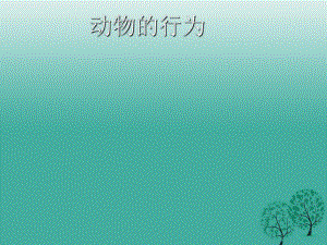 八年級生物上冊 9_2 動物的行為教學(xué)課件 （新版）北京版