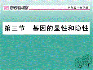 八年級(jí)生物下冊(cè) 第七單元 第二章 第三節(jié) 基因的顯性和隱性課件 （新版）新人教版