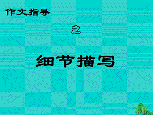 中考語文 作文指導(dǎo) 細(xì)節(jié)描寫課件1