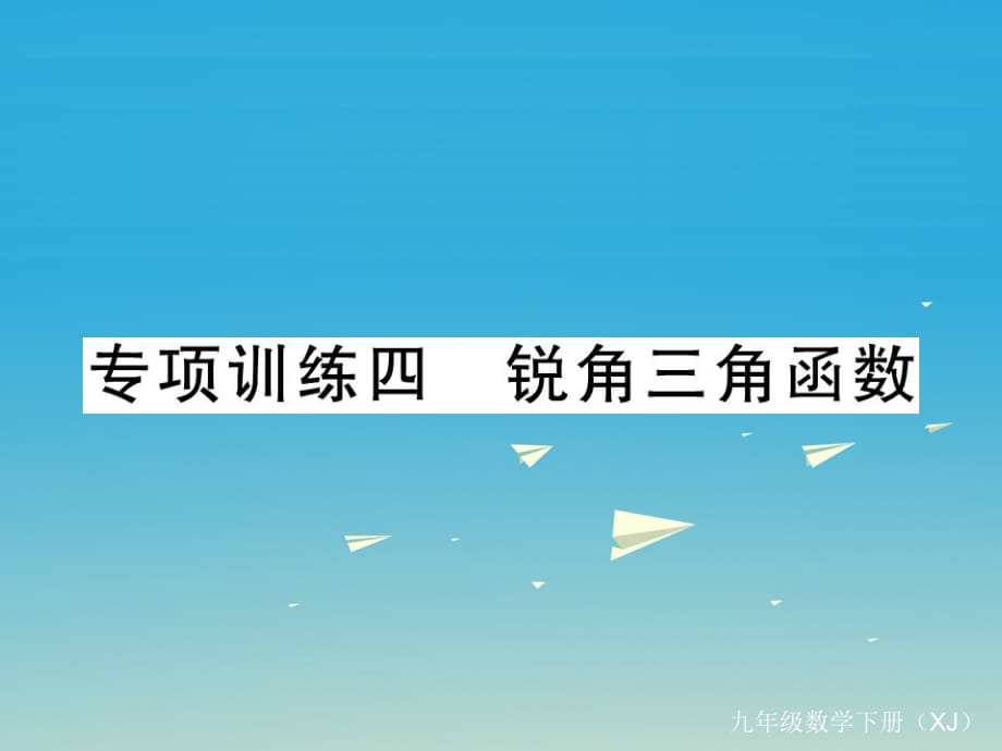 九年級(jí)數(shù)學(xué)下冊(cè) 專項(xiàng)訓(xùn)練四 銳角三角函數(shù)課件 （新版）湘教版_第1頁(yè)