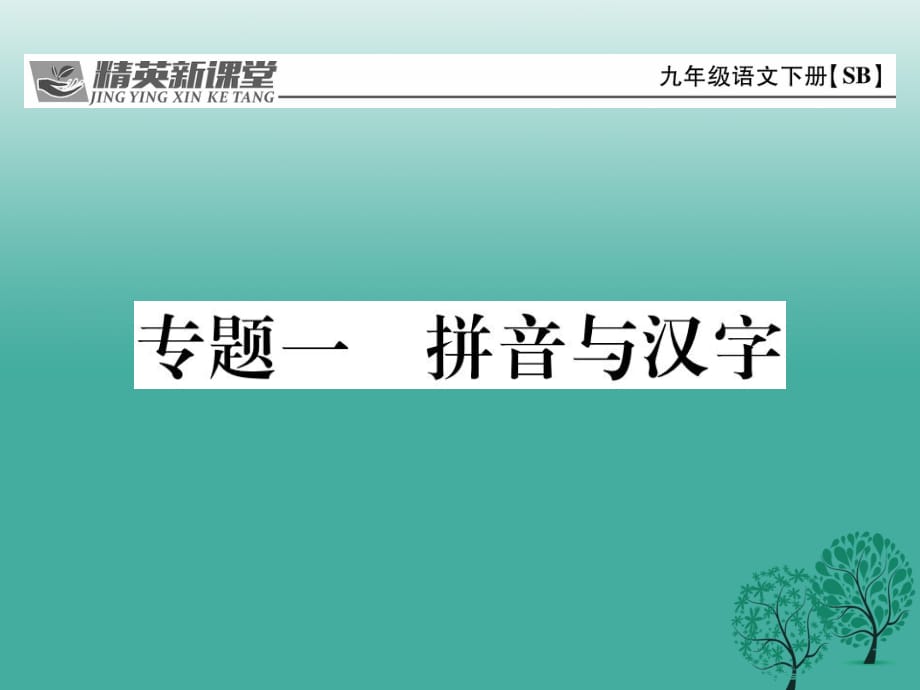 九年級(jí)語文下冊 專題復(fù)習(xí)一 拼音與漢字課件 （新版）蘇教版_第1頁