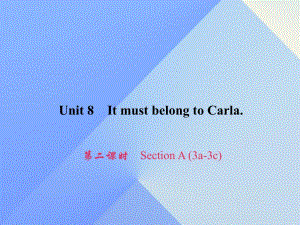 九年級(jí)英語全冊(cè) Unit 8 It must belong to Carla（第2課時(shí)）Section A（3a-3c）習(xí)題課件 （新版）人教新目標(biāo)版