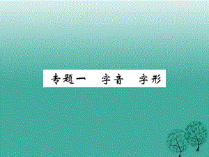 九年級語文下冊 專題一 字音 字形課件 （新版）新人教版