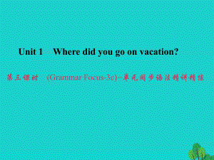 八年級(jí)英語(yǔ)上冊(cè) Unit 1 Where did you go on vacation（第3課時(shí)）（Grammar Focus-3c）同步語(yǔ)法精講精練課件 （新版）人教新目標(biāo)版