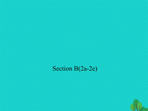 八年級(jí)英語(yǔ)上冊(cè) Unit 7 Will people have robots Section B(2a-2e)習(xí)題課件 （新版）人教新目標(biāo)版