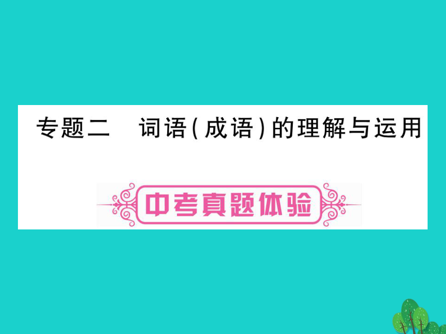 中考語文 第二輪專題突破復(fù)習(xí) 專題二 詞語的理解與應(yīng)用課件1_第1頁