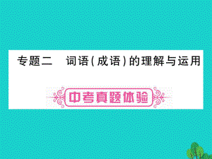 中考語(yǔ)文 第二輪專題突破復(fù)習(xí) 專題二 詞語(yǔ)的理解與應(yīng)用課件1