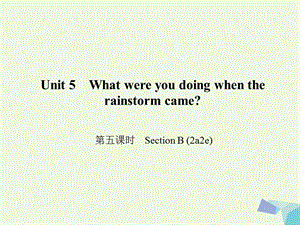 八年級(jí)英語下冊(cè) Unit 5 What were you doing when the rainstorm came（第5課時(shí)）Section B(2a-2e)課件 （新版）人教新目標(biāo)版