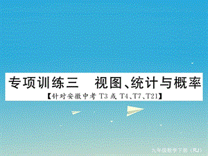 九年級數學下冊 專項訓練三 視圖、統(tǒng)計與概率課件 （新版）新人教版