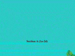 九年級英語全冊 Unit 4 I used to be afraid of the dark Section A（1a-2d）習題課件 （新版）人教新目標版