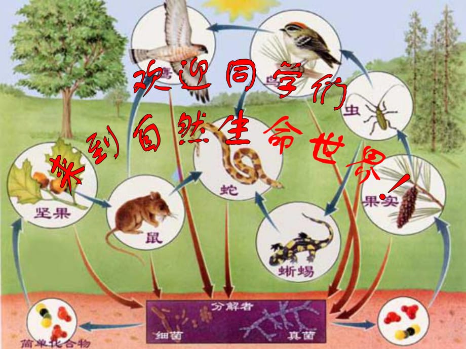 八年級生物上冊 6_2 認識生物的多樣性課件 新人教版_第1頁