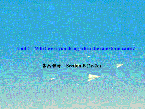 八年級英語下冊 Unit 5 What were you doing when the rainstorm came（第6課時）Section B(2c-2e)課件 （新版）人教新目標版