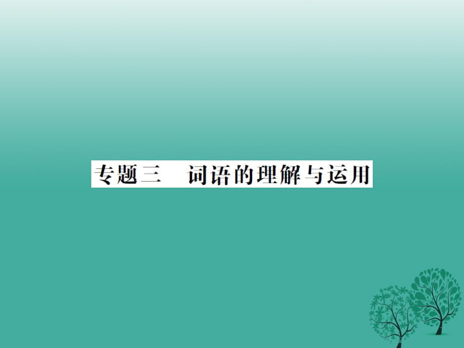 中考語文 第一部分 積累與運用 專題三 詞語的理解與運用課件_第1頁