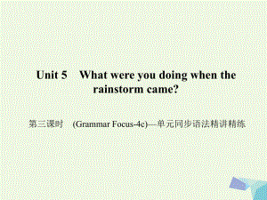 八年級英語下冊 Unit 5 What were you doing when the rainstorm came（第3課時）(Grammar Focus-4c)同步語法精講精練課件 （新版）人教新目標(biāo)版1