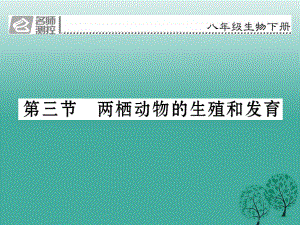 八年級生物下冊 第七單元 第一章 第三節(jié) 兩棲動物的生殖和發(fā)育課件 （新版）新人教版 (2)