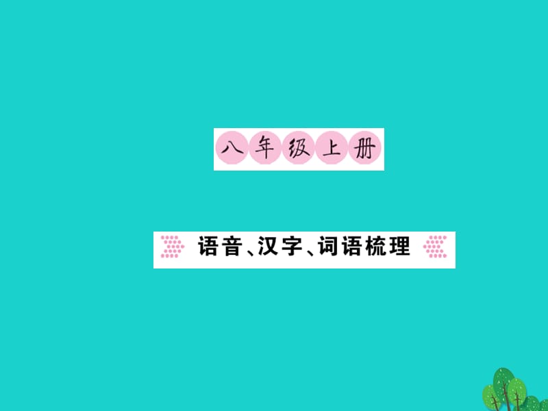 中考语文 八上 语音、汉字、词语梳理课件1_第1页