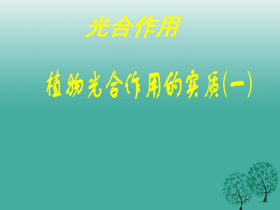 中考生物試題研究 植物的光合作用課件_第1頁