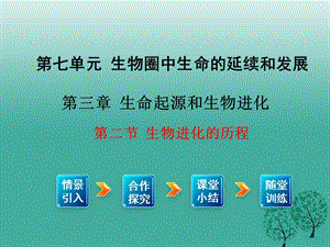 八年級生物下冊 第7單元 第3章 第2節(jié) 生物進(jìn)化的歷程課件 （新版）新人教版