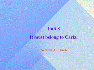 九年級(jí)英語(yǔ)全冊(cè) Unit 8 It must belong to carla Section A（3a-3c）課件 （新版）人教新目標(biāo)版